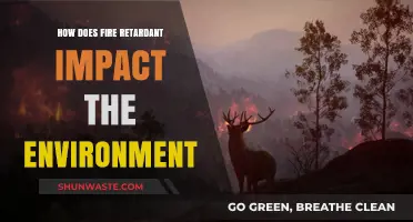 Environmental Impact of Fire Retardants: Risks, Benefits, and Sustainability