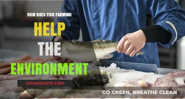 Sustainable Fish Farming: Environmental Benefits and Eco-Friendly Practices