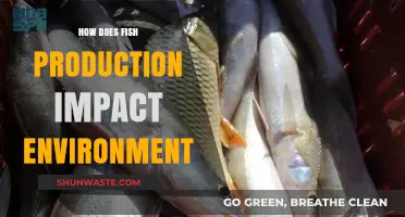 Fish Farming's Environmental Footprint: Impacts and Sustainable Solutions