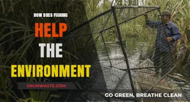 Fishing's Surprising Role in Restoring Ecosystems and Protecting Nature