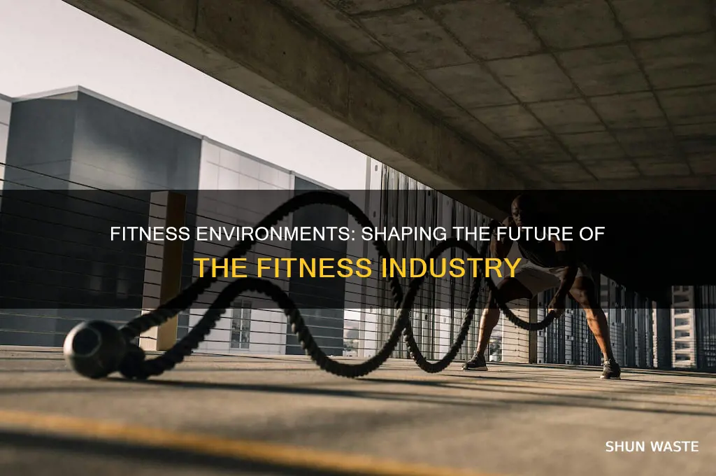how does fitness environment impact fitness industry