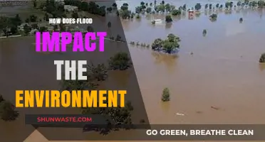 Flood's Environmental Impact: Ecosystem Disruption, Soil Erosion, and Pollution Risks