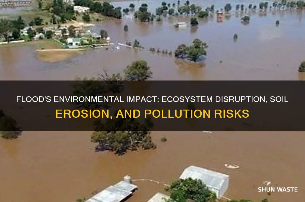 how does flood impact the environment