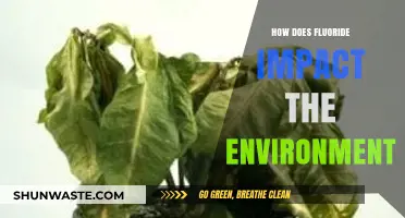 Fluoride's Environmental Impact: Understanding Its Effects on Ecosystems and Wildlife