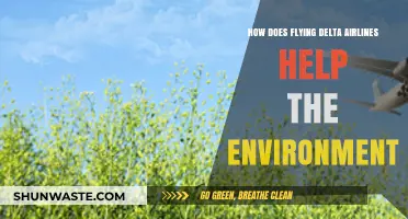 Flying Green: Delta Airlines' Eco-Friendly Initiatives for a Sustainable Future