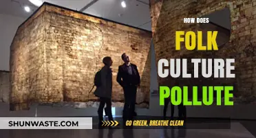 Folk Culture's Pollution: Harmful Traditions