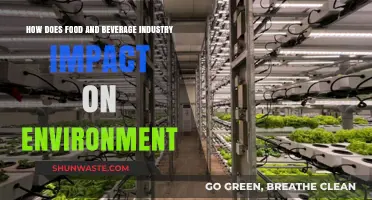 Food and Beverage Industry's Environmental Impact: Challenges and Solutions