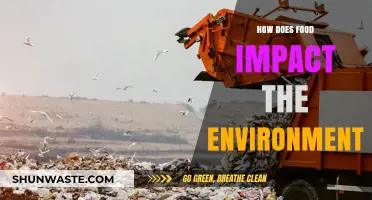 Food's Environmental Footprint: Sustainable Choices for a Greener Planet