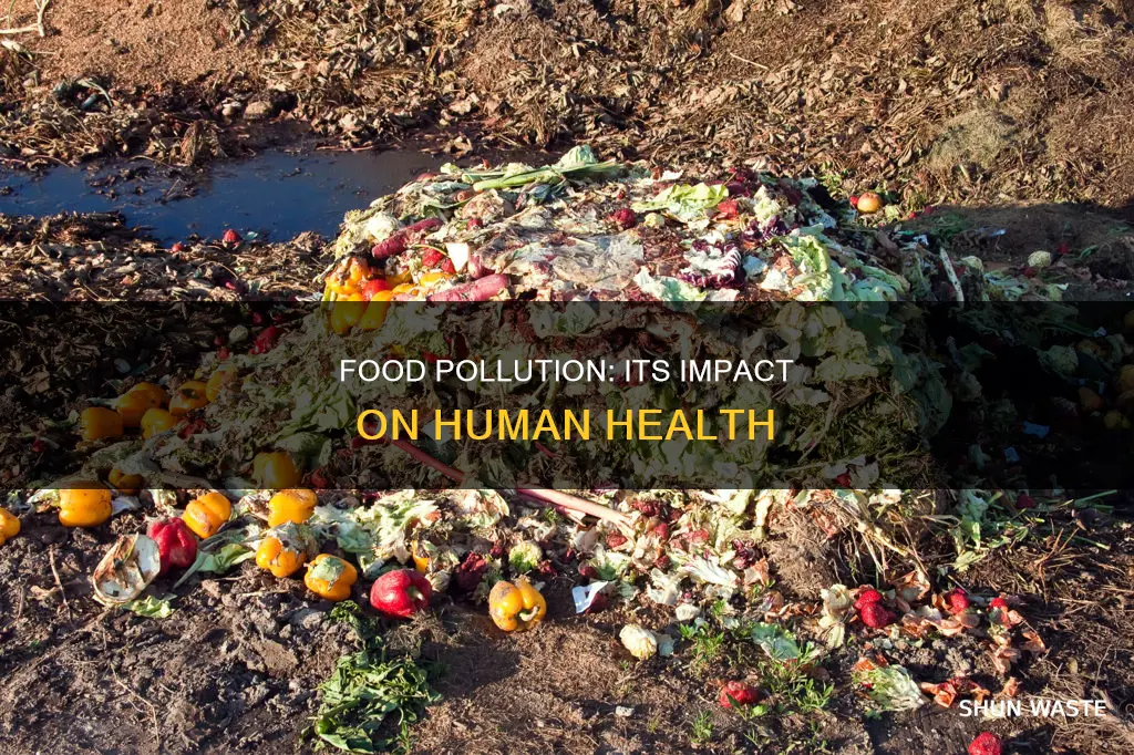 how does food pollution affect humans