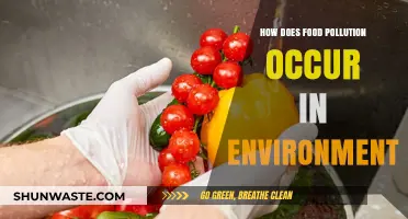 Food Pollution: Environmental Impact and Causes