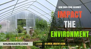 Food Security's Environmental Impact: Balancing Hunger and Sustainability