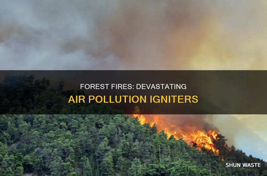how does forest fires cause air pollution