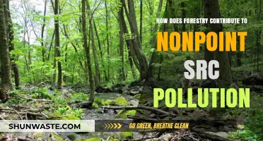 Forestry's Impact on Nonpoint Source Pollution