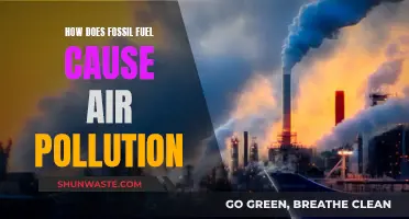 Fossil Fuels: Air Pollution's Dirty Secret