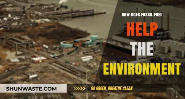 Fossil Fuels' Surprising Environmental Benefits: A Comprehensive Analysis