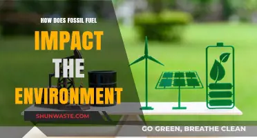 Fossil Fuels' Devastating Environmental Impact: Pollution, Climate Change, and Beyond