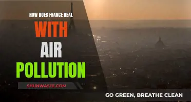 France's Air Pollution: Strategies and Solutions