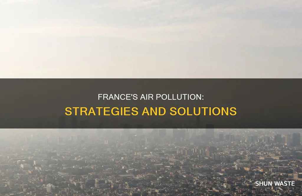 how does france deal with air pollution