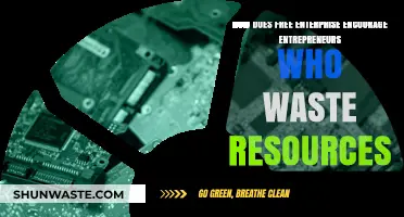 Free Enterprise's Resource Dilemma: Encouraging Entrepreneurs or Enabling Waste?