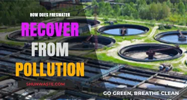 Restoring Freshwater Ecosystems: Overcoming Pollution's Legacy