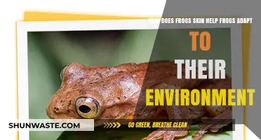 Frog Skin Secrets: How It Aids Environmental Adaptation