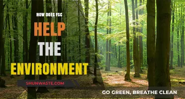 FSC Certification: Protecting Forests, Promoting Sustainability, and Preserving Ecosystems