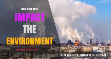 Fuel's Environmental Impact: Pollution, Climate Change, and Sustainable Alternatives