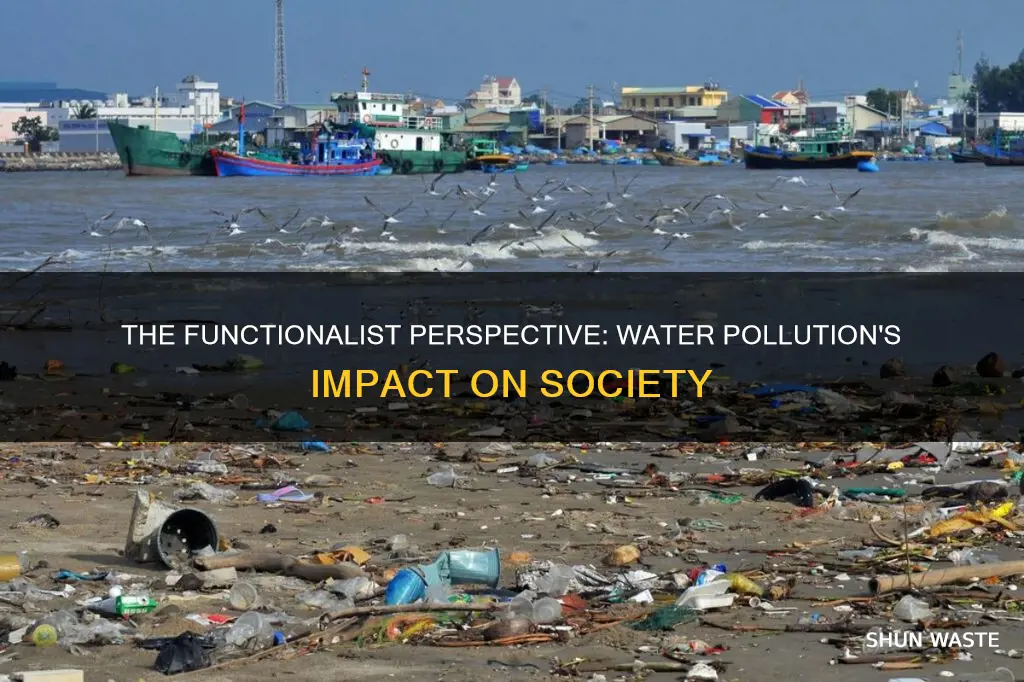 how does functionalist view water pollution