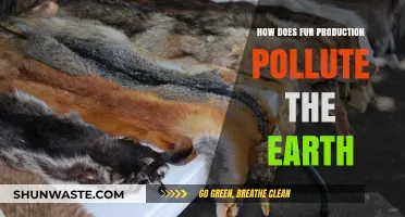 Fur Production: A Toxic Legacy