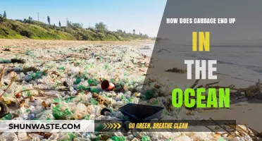 The Ocean's Garbage: Where Does It Come From?