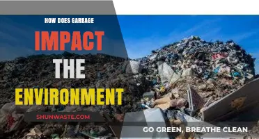 Garbage's Devastating Environmental Impact: Pollution, Wildlife, and Climate Change