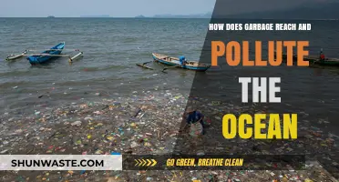The Ocean's Garbage Trail: How Does it Happen?