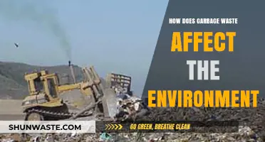 Garbage Waste's Devastating Impact on Our Environment and Ecosystems