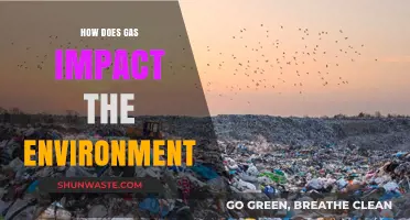 Gas Emissions: Environmental Impact and Sustainable Solutions Explored