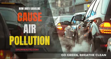 Unveiling the Impact: Gasoline's Role in Air Pollution