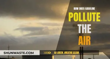 Gasoline's Impact: Air Pollution and Its Causes