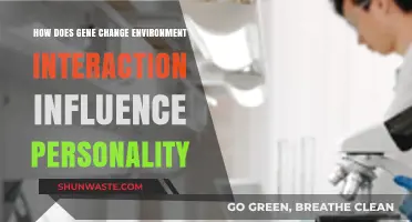 Gene-Environment Dance: Shaping Personality Through Complex Interactions