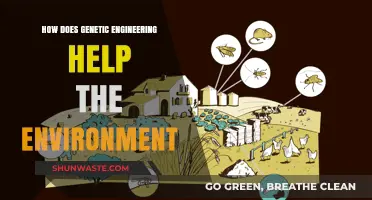 Genetic Engineering: Sustainable Solutions for Environmental Conservation and Restoration