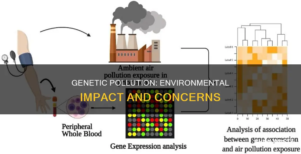 how does genetic pollution affect the environment