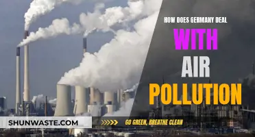 Germany's Fight Against Air Pollution: Strategies and Solutions