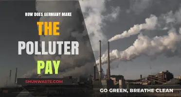Germany's Polluter Pays Principle: Making Polluters Foot the Bill