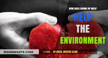 Sustainable Eating: How Meat-Free Diets Benefit Our Planet's Health