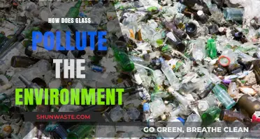 Glass Pollution: Harming Nature's Delicate Balance