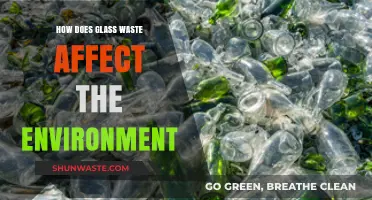 Glass Waste's Environmental Impact: Pollution, Recycling, and Sustainable Solutions