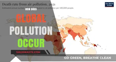 The World Polluted: Understanding Global Pollution's Causes