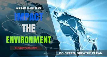 Global Trade's Environmental Footprint: Challenges and Sustainable Solutions
