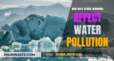 Global Warming's Impact on Water Pollution Explained