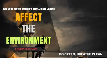 Global Warming's Impact: Unraveling Climate Change's Devastating Environmental Consequences