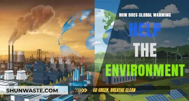 Unexpected Environmental Benefits of Global Warming: A Complex Perspective