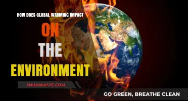 Global Warming's Devastating Effects on Our Environment: A Comprehensive Overview